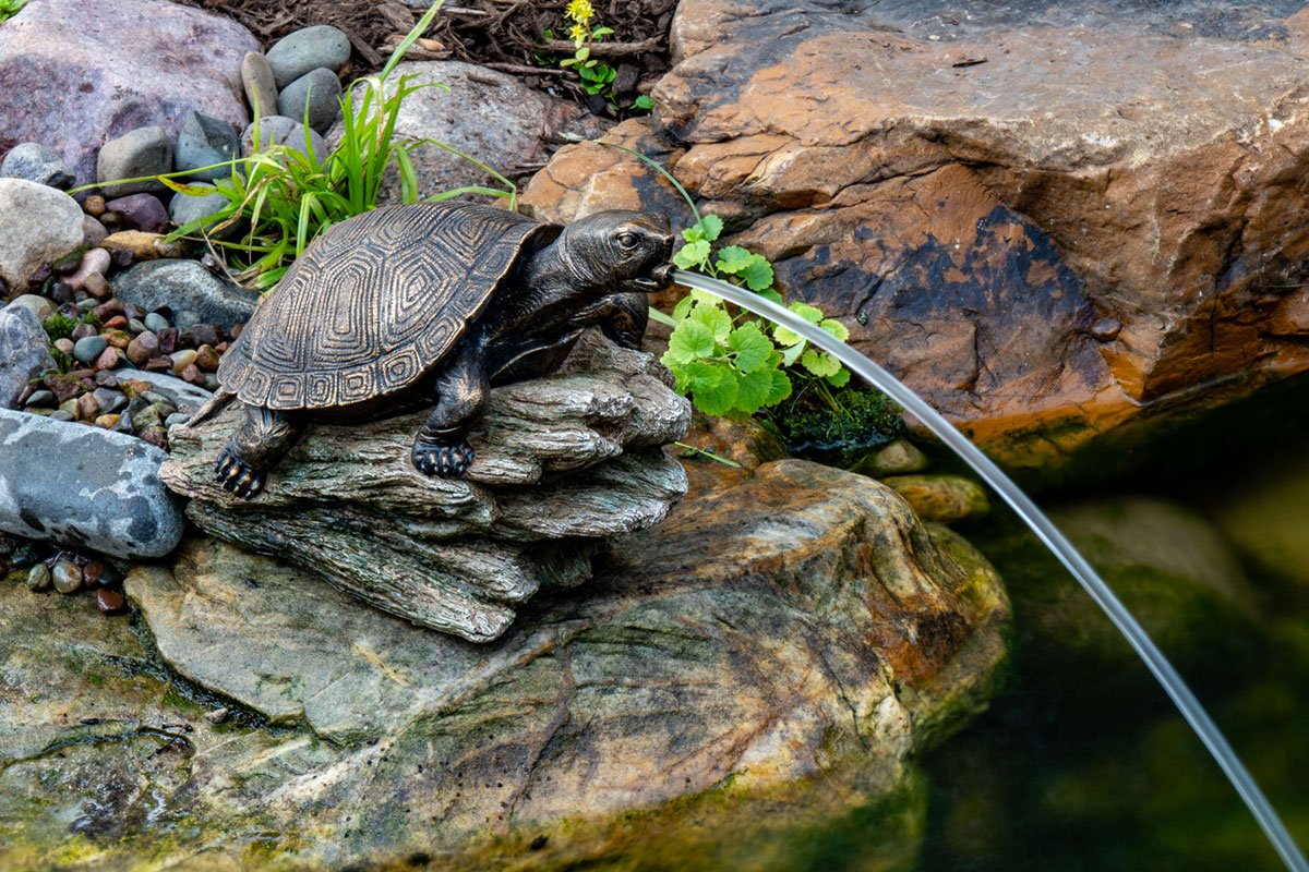 Turtle on Log Spitter