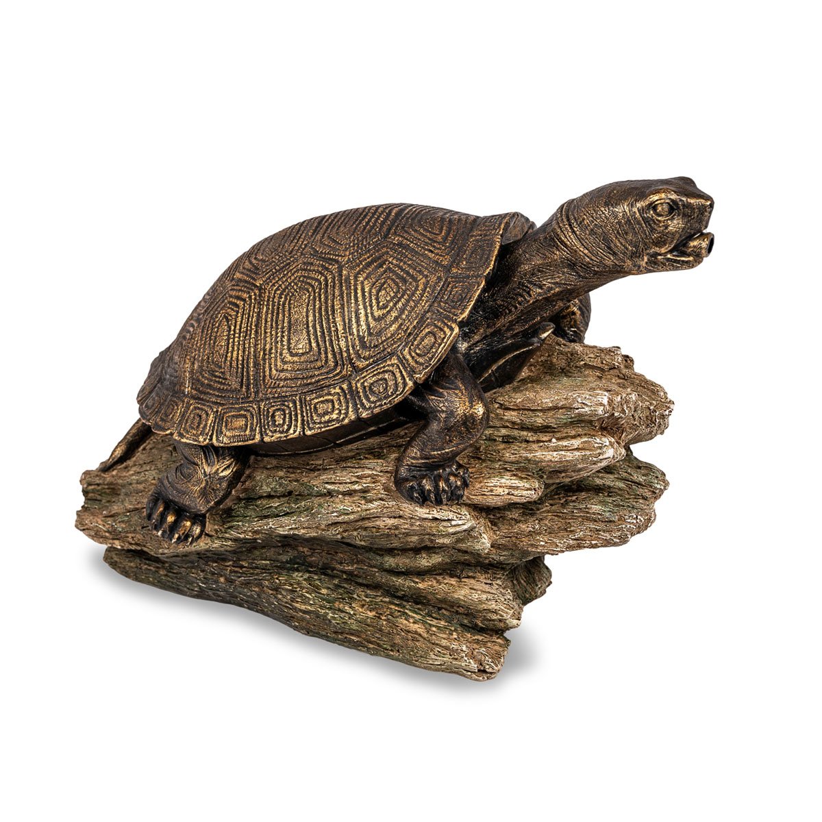 Turtle on Log Spitter