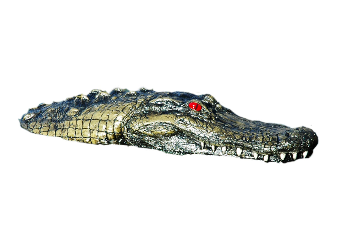 Floating Gator