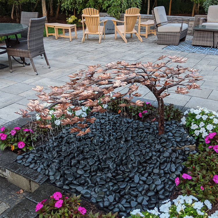 Japanese Maple Fountain