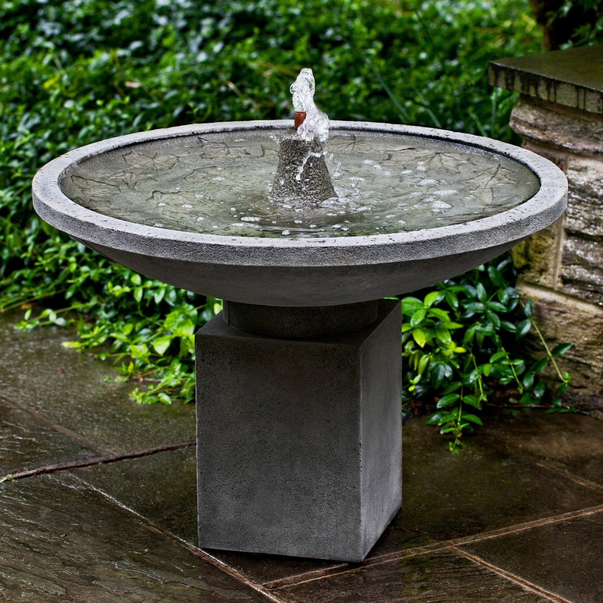 garden fountain autumn leaves