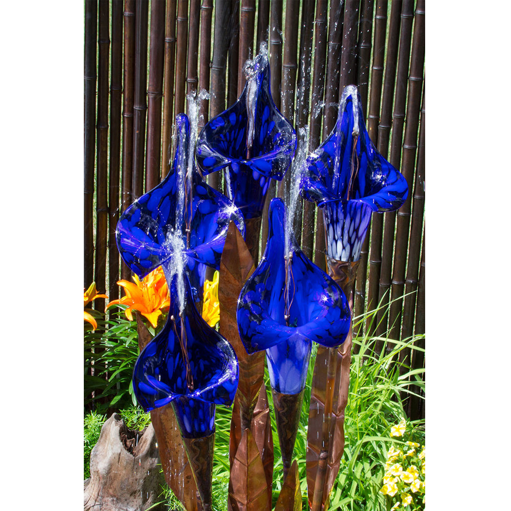 Copper fountain iris flower garden