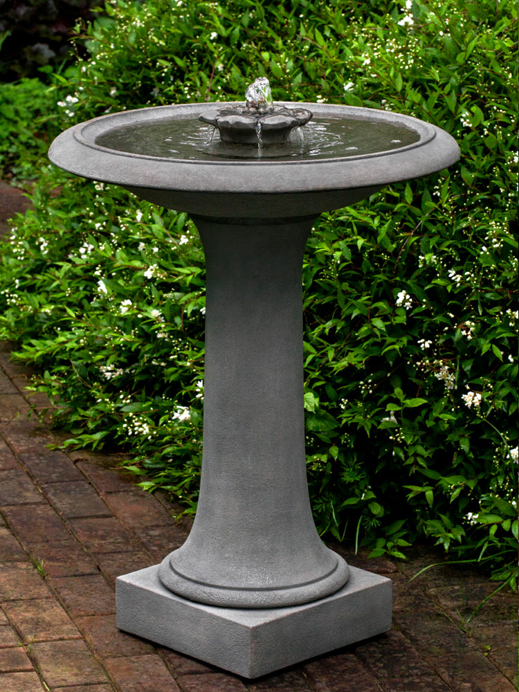 Birdbath fountain Camellia