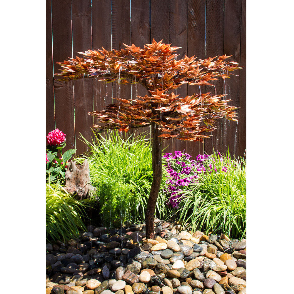 Japanese maple fountain