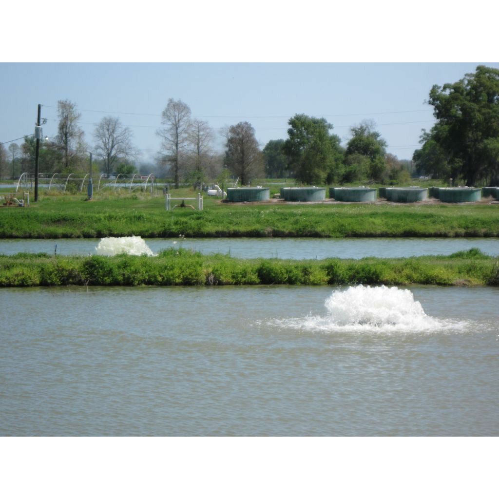 Kasco Marine: 2 Acre Pond Surface Aerator 2 HP