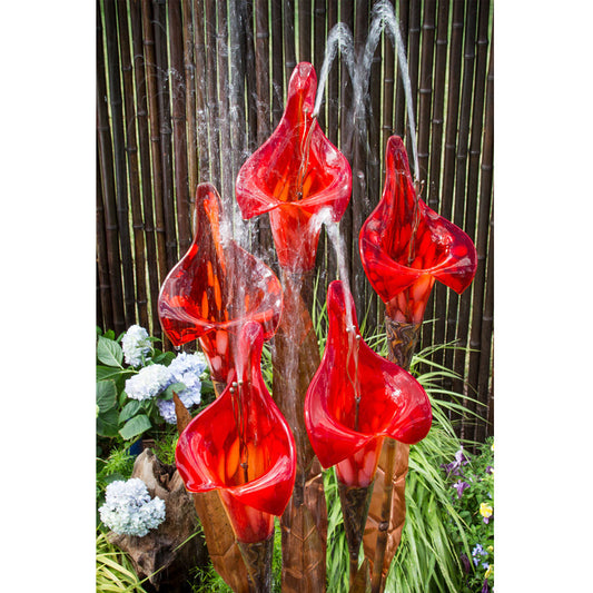 Copper fountain iris flower garden