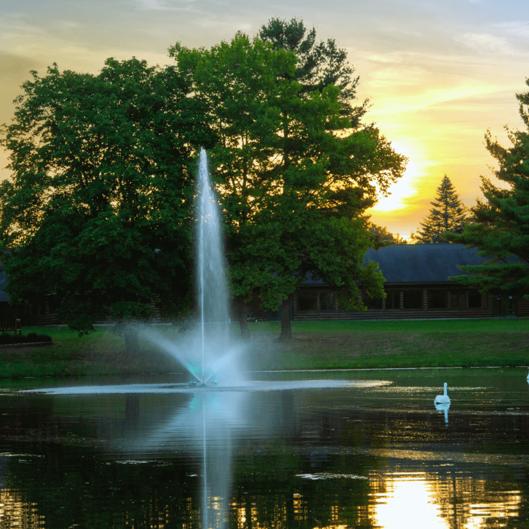 Scott Aerator Pond Fountain Skyward