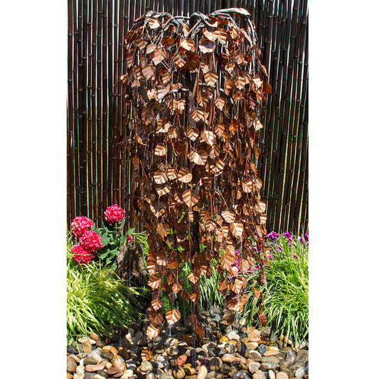 Copper fountain weeping elm tree