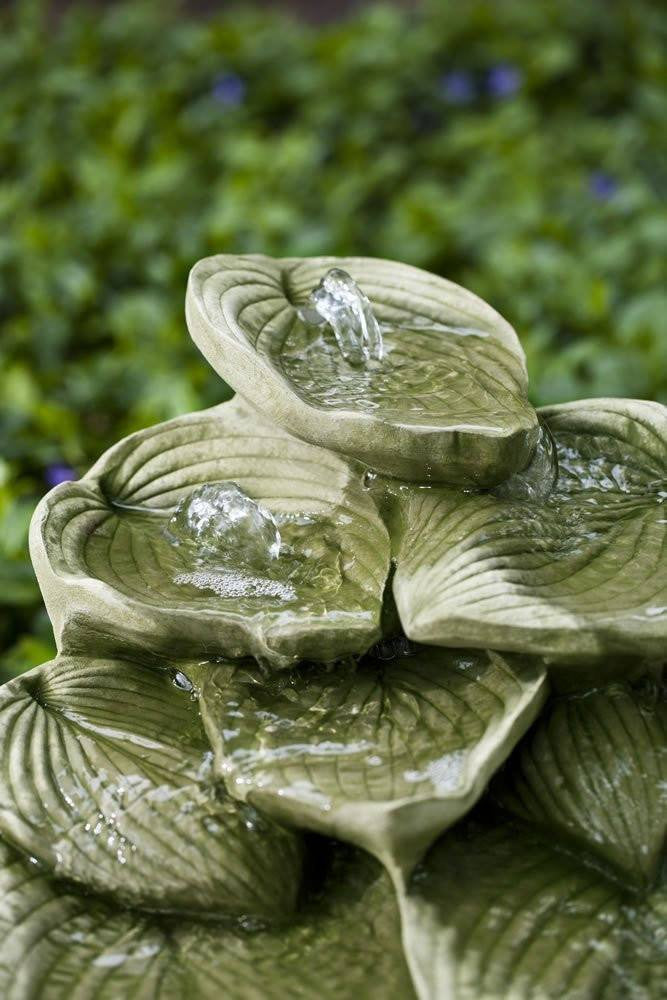 hosta fountain cascading garden